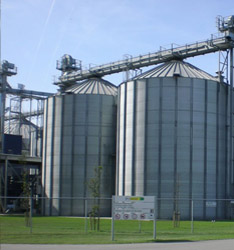 Biofuel Production Netherlands